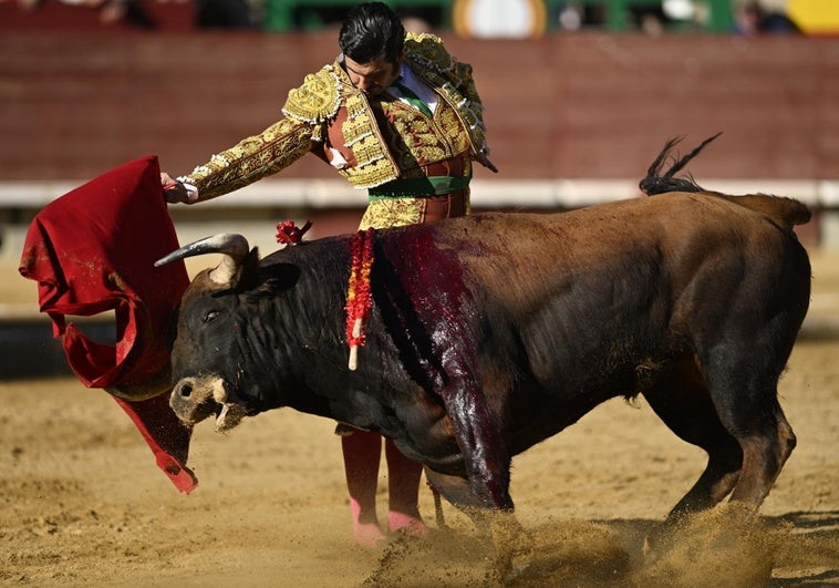 ¿Quién torea hoy en la Feria de San Isidro? Horario y cómo seguirlo en televisión ¿Quién torea hoy en la Feria de San Isidro? Horario y cómo seguirlo en televisión