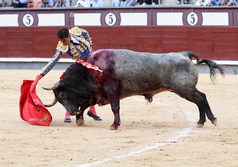 Gómez del Pilar, valor y querer hasta el triunfo Gómez del Pilar, valor y querer hasta el triunfo