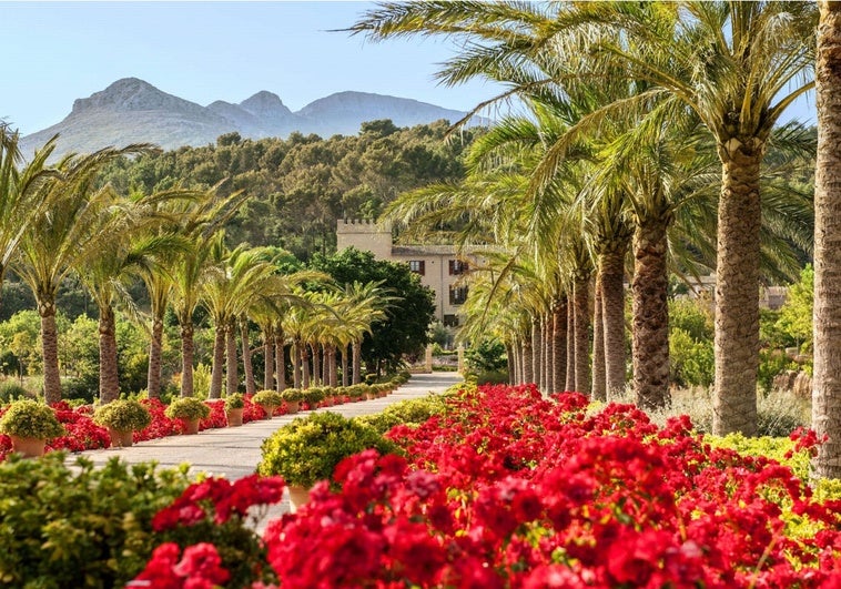 Dormir en un castillo del S. XIX con restaurante de estrella Michelin, el lujo silencioso de Mallorca Dormir en un castillo del S. XIX con restaurante de estrella Michelin, el lujo silencioso de Mallorca