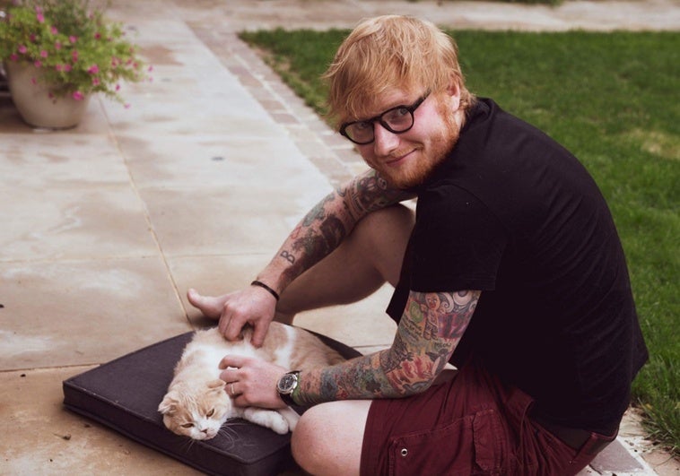 «Aburrirse es bueno para el cerebro»: Ed Sheeran no tiene teléfono y los psicólogos lo aplauden «Aburrirse es bueno para el cerebro»: Ed Sheeran no tiene teléfono y los psicólogos lo aplauden