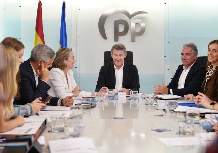 El PP presenta hoy una denuncia contra Leire Díez, Jacobo Teijelo y Javier Pérez Dolset ante la Fiscalía Anticorrupción El PP presenta hoy una denuncia contra Leire Díez, Jacobo Teijelo y Javier Pérez Dolset ante la Fiscalía Anticorrupción