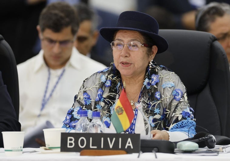 Bolivia alerta ante la OEA que las movilizaciones promovidas por Evo Morales ponen en riesgo las elecciones Bolivia alerta ante la OEA que las movilizaciones promovidas por Evo Morales ponen en riesgo las elecciones