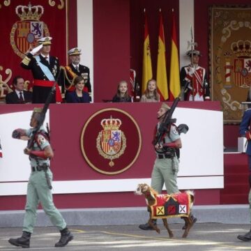 Así es Camarón, la cabra de la Legión que tiene menos de 2 años
