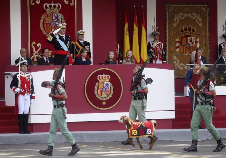 Así es Camarón, la cabra de la Legión que tiene menos de 2 años Así es Camarón, la cabra de la Legión que tiene menos de 2 años