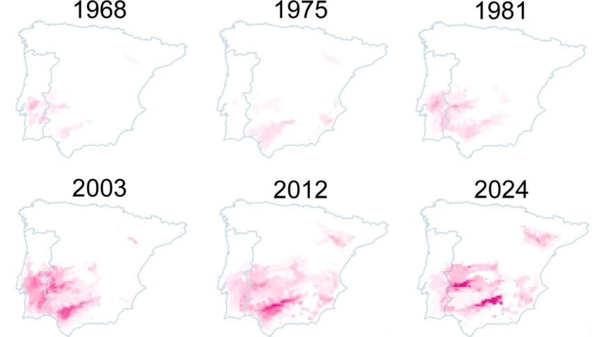¿Cuánto ha subido la temperatura con el cambio climático? ¿Cuánto ha subido la temperatura con el cambio climático?