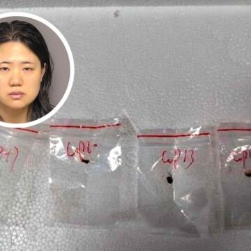 Un hongo toxico y la lealtad al Partido Comunista, la última crisis entre EE.UU. y China