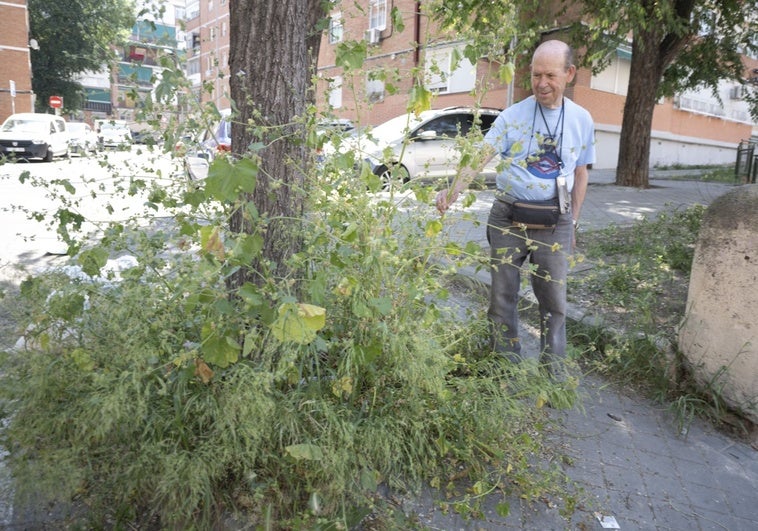 Puerto Chico, un barrio de Madrid que lucha para no seguir anclado en los ochenta Puerto Chico, un barrio de Madrid que lucha para no seguir anclado en los ochenta