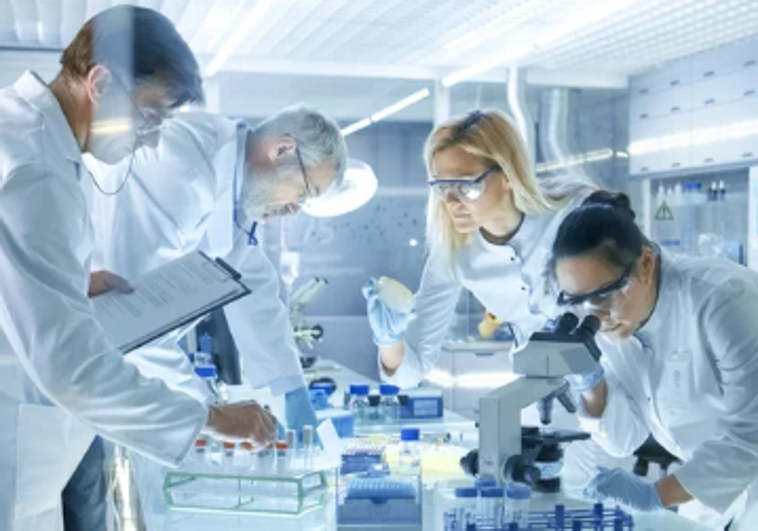 Por primera vez logran convertir un mamífero macho en hembra durante la gestación usando un factor ambiental Por primera vez logran convertir un mamífero macho en hembra durante la gestación usando un factor ambiental