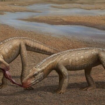 La migración de los dinosaurios en un mundo muerto