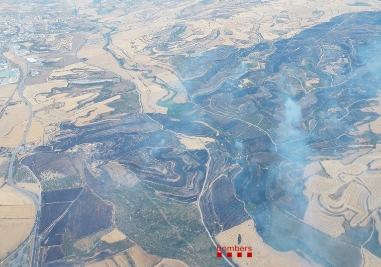 Los Bomberos dan por controlado el incendio en Granyena de Segarra (Lérida) que ha afectado más de 470 hectáreas Los Bomberos dan por controlado el incendio en Granyena de Segarra (Lérida) que ha afectado más de 470 hectáreas