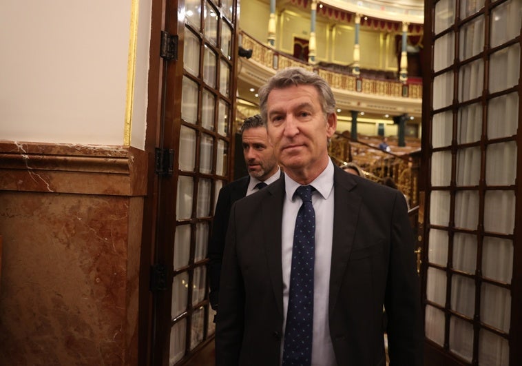 Feijóo evita riesgos y recupera a Tellado para la batalla electoral Feijóo evita riesgos y recupera a Tellado para la batalla electoral
