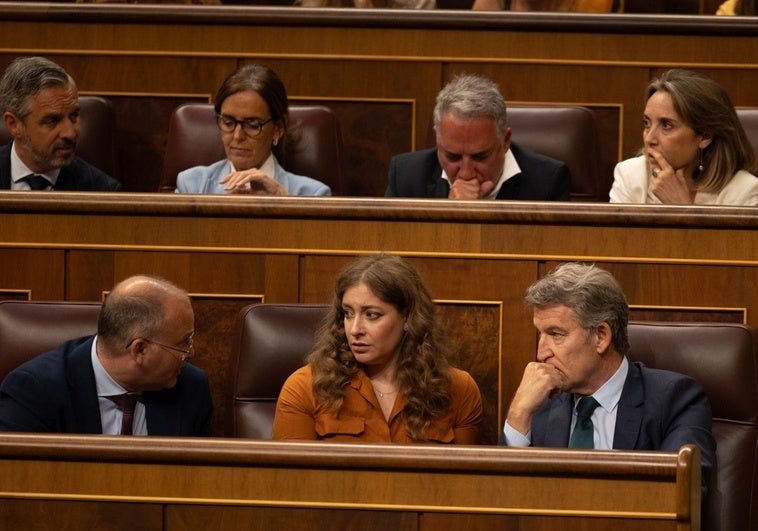 Feijóo quiso evitar un guiño a las eléctricas en plena tormenta sobre Montoro Feijóo quiso evitar un guiño a las eléctricas en plena tormenta sobre Montoro