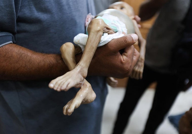 La ONU advierte de que la ayuda humanitaria que entra en Gaza es solo «una gota en un océano» La ONU advierte de que la ayuda humanitaria que entra en Gaza es solo «una gota en un océano»
