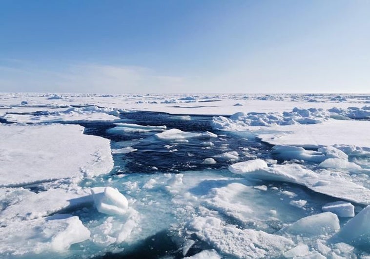 Helado, pero no sellado: el Océano Ártico permaneció abierto a la vida durante las peores edades de hielo Helado, pero no sellado: el Océano Ártico permaneció abierto a la vida durante las peores edades de hielo
