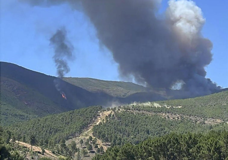 Extremadura solicita la activación de la UME por el incendio en Caminomorisco, Cáceres Extremadura solicita la activación de la UME por el incendio en Caminomorisco, Cáceres