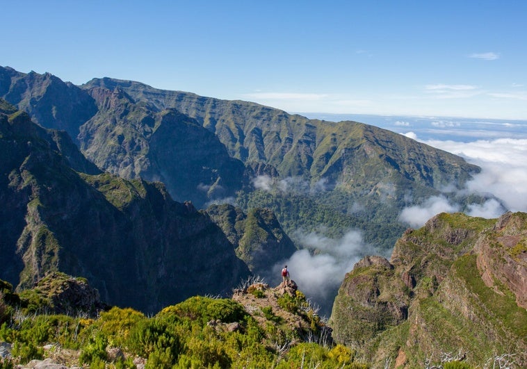 Madeira, la isla más verde del Atlántico Madeira, la isla más verde del Atlántico