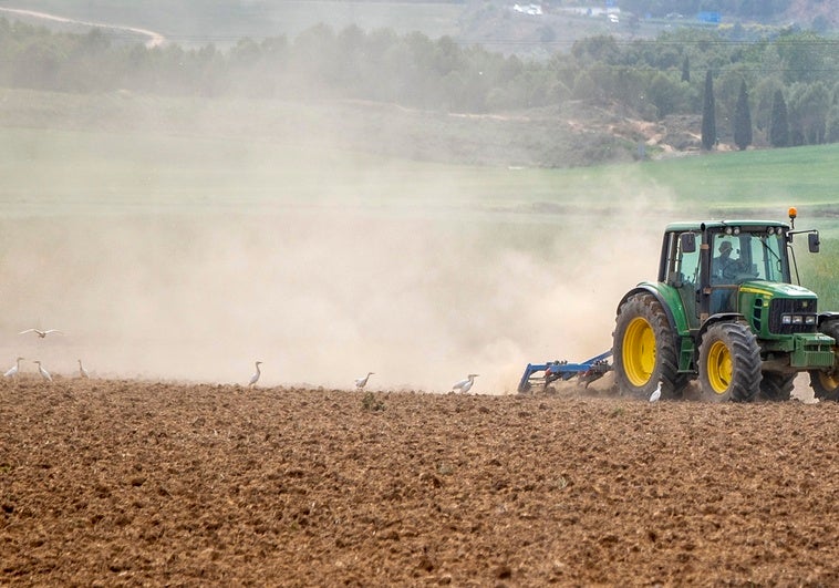 El campo europeo se moviliza mañana en Bruselas en defensa de una «PAC fuerte y con presupuesto» El campo europeo se moviliza mañana en Bruselas en defensa de una «PAC fuerte y con presupuesto»