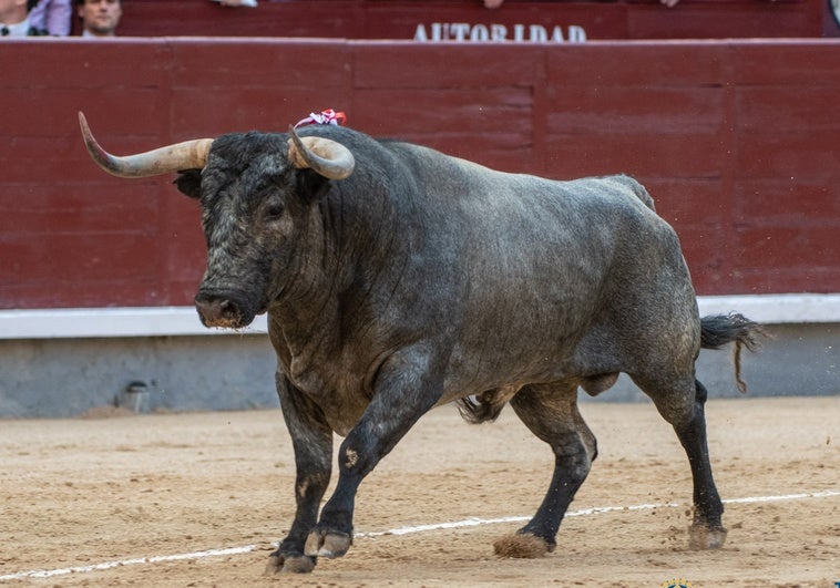El septiembre torista de Las Ventas define sus carteles El septiembre torista de Las Ventas define sus carteles