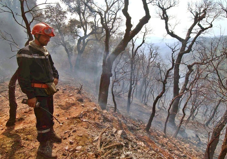 Un incendio destruye 2.000 hectáreas al sur de Francia Un incendio destruye 2.000 hectáreas al sur de Francia