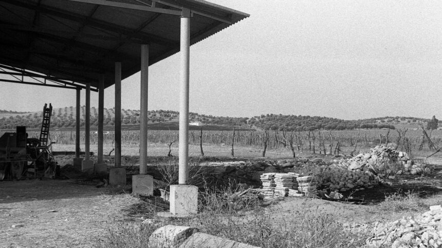 Cincuenta años de Los Galindos: crimen sin castigo Cincuenta años de Los Galindos: crimen sin castigo