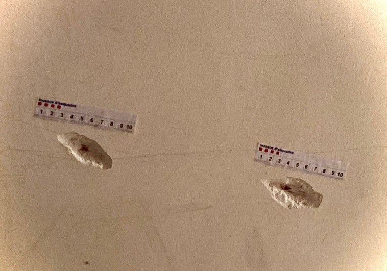 Ejecutado en su portal del centro de Barcelona: «Lo vi en el suelo, con mucha sangre y llamé a Emergencias» Ejecutado en su portal del centro de Barcelona: «Lo vi en el suelo, con mucha sangre y llamé a Emergencias»
