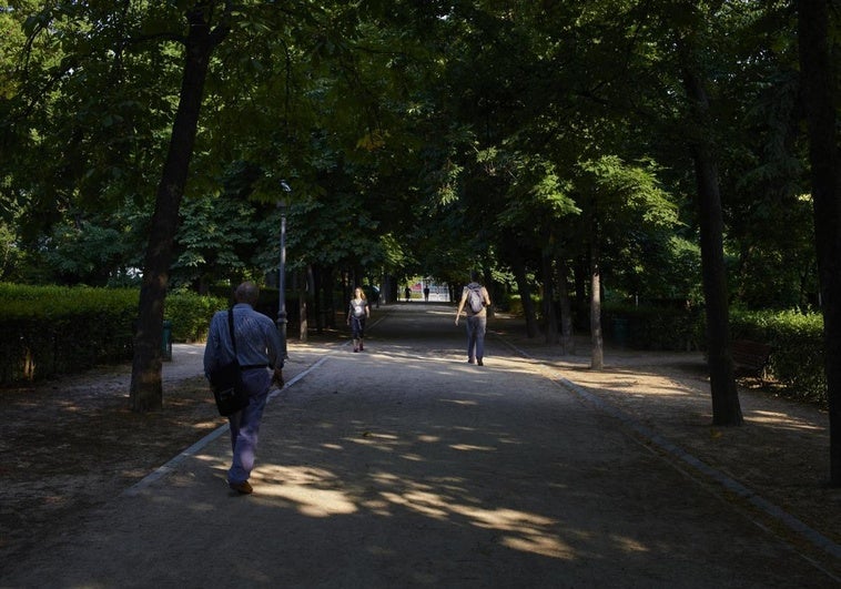 Ralentí del Retiro Ralentí del Retiro