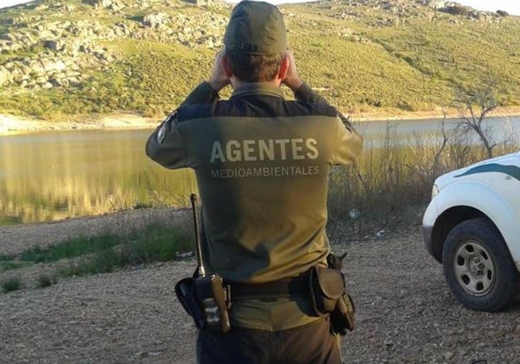 Cuánto dinero cobra un agente forestal en España: sueldo base y complementos Cuánto dinero cobra un agente forestal en España: sueldo base y complementos