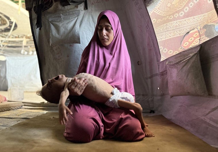 Israel anuncia «pausas tácticas» en algunas zonas de Gaza para permitir la entrada de ayuda humanitaria Israel anuncia «pausas tácticas» en algunas zonas de Gaza para permitir la entrada de ayuda humanitaria