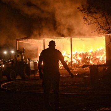Un peligroso incendio obliga a evacuar a más de 5.000 personas en las afueras de Atenas