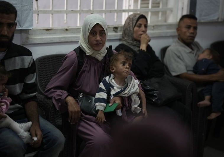 «Sería mejor que cayera una bomba en Gaza y muriéramos de una vez, en lugar de morir poco a poco cada día» «Sería mejor que cayera una bomba en Gaza y muriéramos de una vez, en lugar de morir poco a poco cada día»