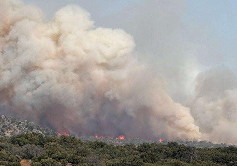 El incendio de Navaluenga (Ávila) obliga a desalojar una veintena de viviendas «por precaución» y a cortar carreteras