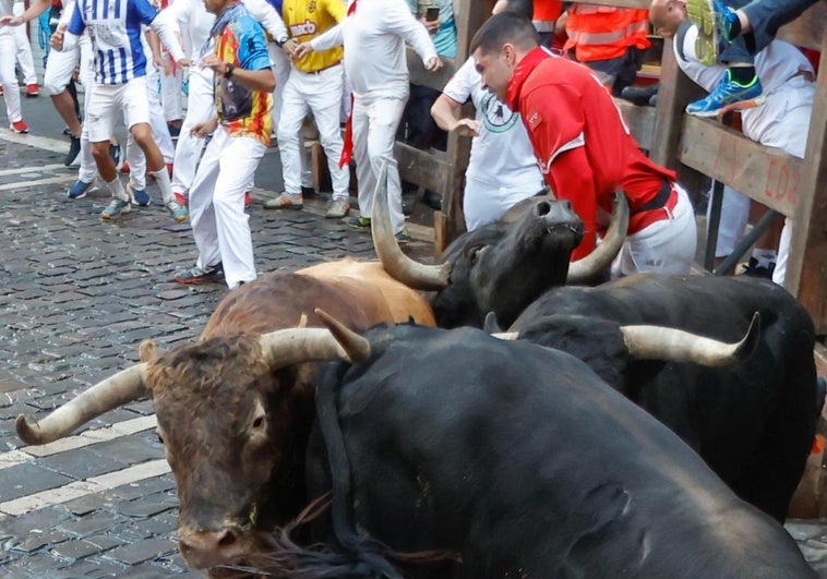 El penúltimo encierro, tenso y accidentado, deja varias cornadas de los toros de La Palmosilla El penúltimo encierro, tenso y accidentado, deja varias cornadas de los toros de La Palmosilla