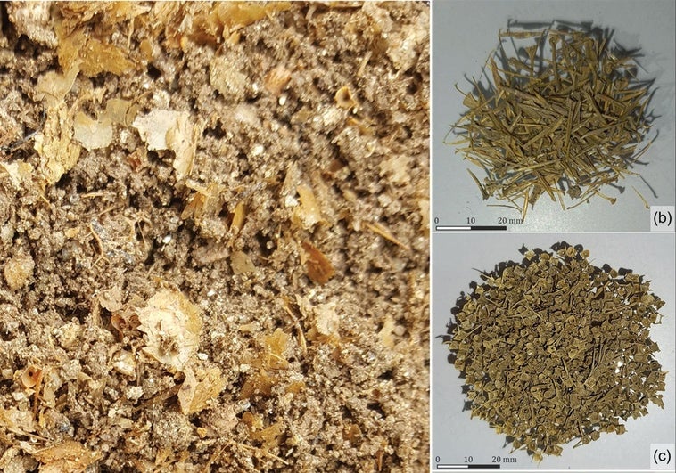 El ADN revela los ingredientes del garum, la salsa más olorosa y popular del Imperio Romano El ADN revela los ingredientes del garum, la salsa más olorosa y popular del Imperio Romano