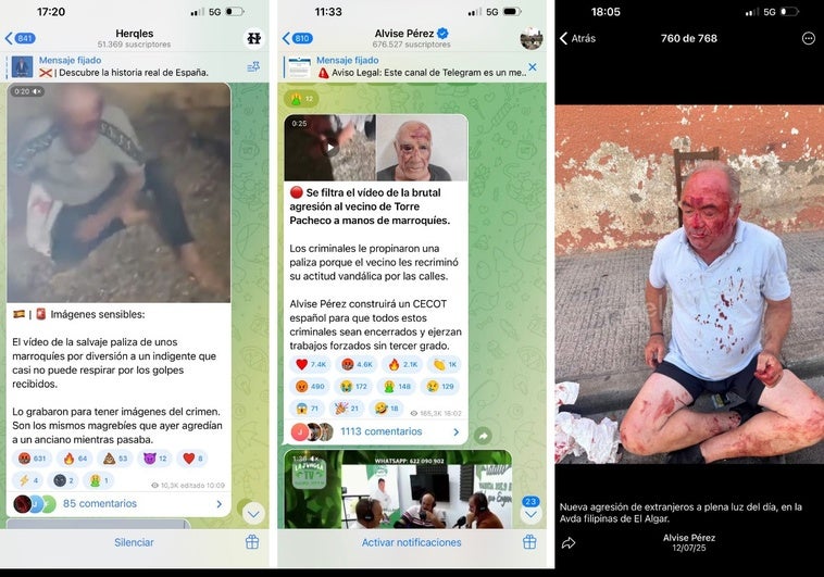 Alvise, neonazis y prorrusos: los ultras explotan Telegram para viralizar los bulos Alvise, neonazis y prorrusos: los ultras explotan Telegram para viralizar los bulos