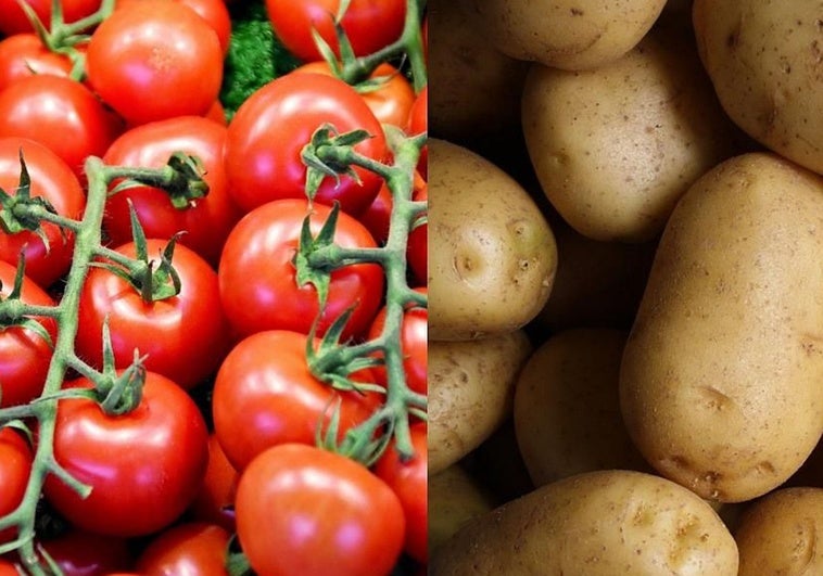 Fruto del 'romance prohibido' de un tomate: así nació la patata Fruto del ‘romance prohibido’ de un tomate: así nació la patata