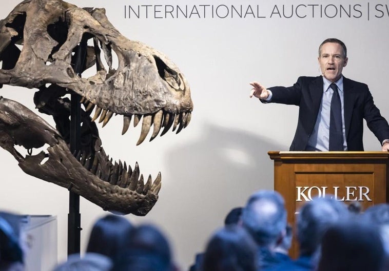 'Jurassic Cash': el auge del coleccionismo científico ‘Jurassic Cash’: el auge del coleccionismo científico