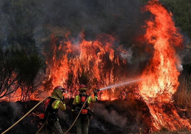 Orense se consume sin previsión de cuándo se podrá sofocar el fuego: los incendios activos arrasan ya 12.500 hectáreas Orense se consume sin previsión de cuándo se podrá sofocar el fuego: los incendios activos arrasan ya 12.500 hectáreas