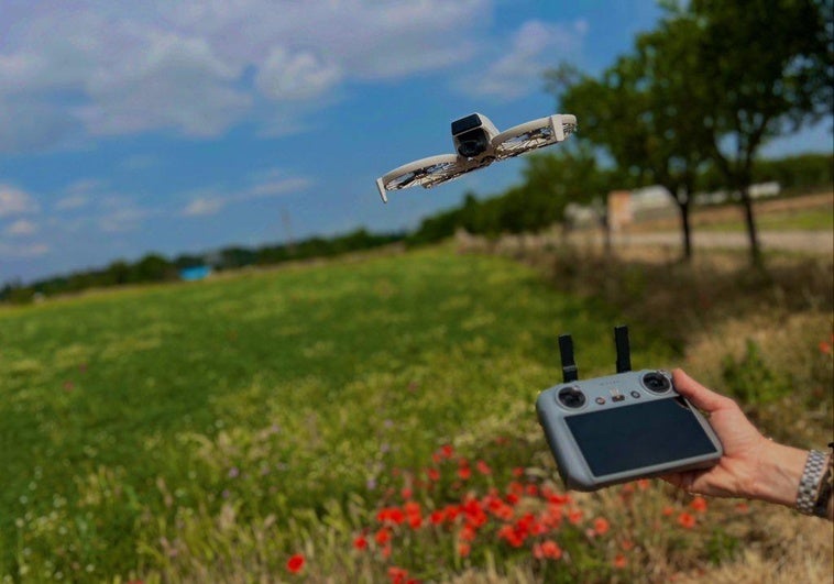 Un dron guardián que mitiga plagas y ahuyenta aves: «Las palomas destruyen el 30% de las cosechas» Un dron guardián que mitiga plagas y ahuyenta aves: «Las palomas destruyen el 30% de las cosechas»