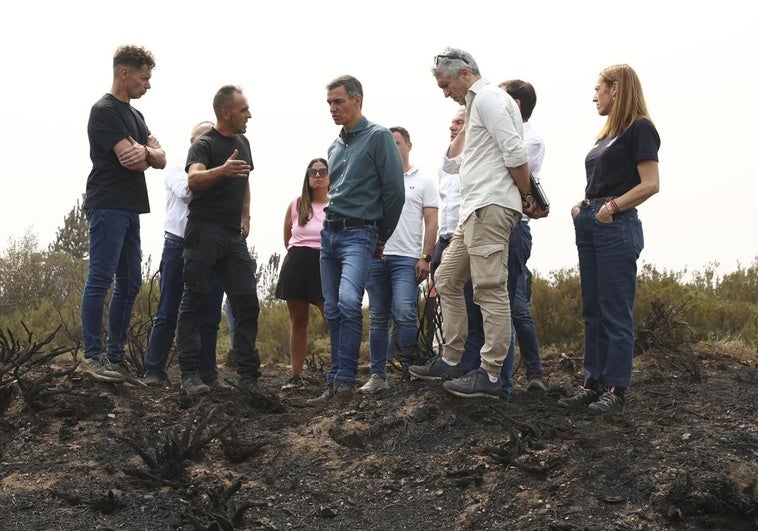 Pedro Sánchez visitará este martes la zona del incendio de Jarilla, en Extremadura Pedro Sánchez visitará este martes la zona del incendio de Jarilla, en Extremadura