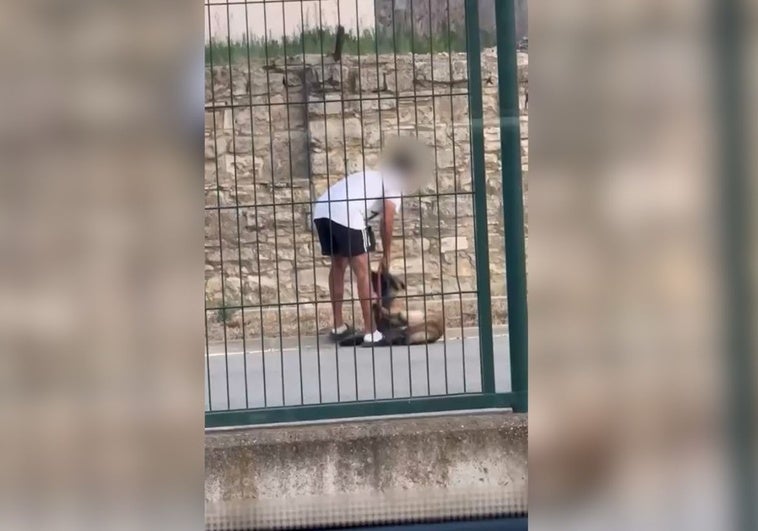 Un vídeo viral lleva a la Guardia Civil a rescatar a un perro maltratado por su dueño en Calaf (Barcelona) Un vídeo viral lleva a la Guardia Civil a rescatar a un perro maltratado por su dueño en Calaf (Barcelona)