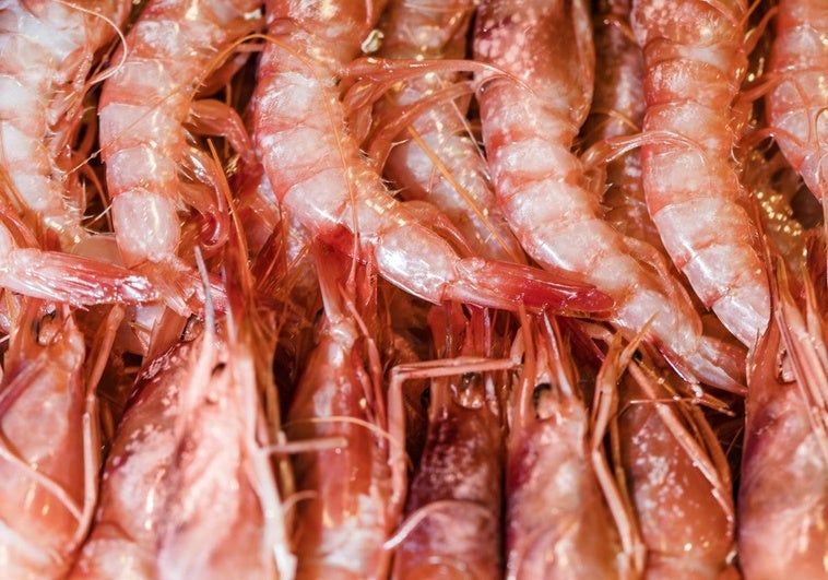 Un pescador lanza un aviso sobre los langostinos: fíjate siempre en este detalle cuando los compres en el supermercado Un pescador lanza un aviso sobre los langostinos: fíjate siempre en este detalle cuando los compres en el supermercado