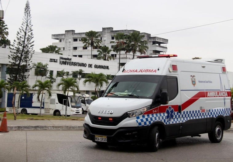 Investigan en Ecuador la muerte de 12 recién nacidos en un hospital público por «causas multifactoriales» Investigan en Ecuador la muerte de 12 recién nacidos en un hospital público por «causas multifactoriales»