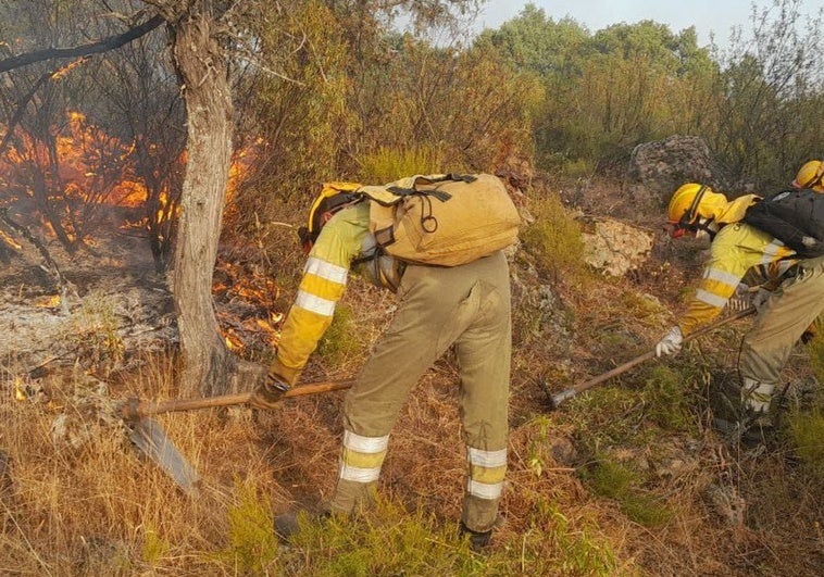 El incendio de Ávila, a raya tras un día de lucha contra «reproducciones continuas» El incendio de Ávila, a raya tras un día de lucha contra «reproducciones continuas»