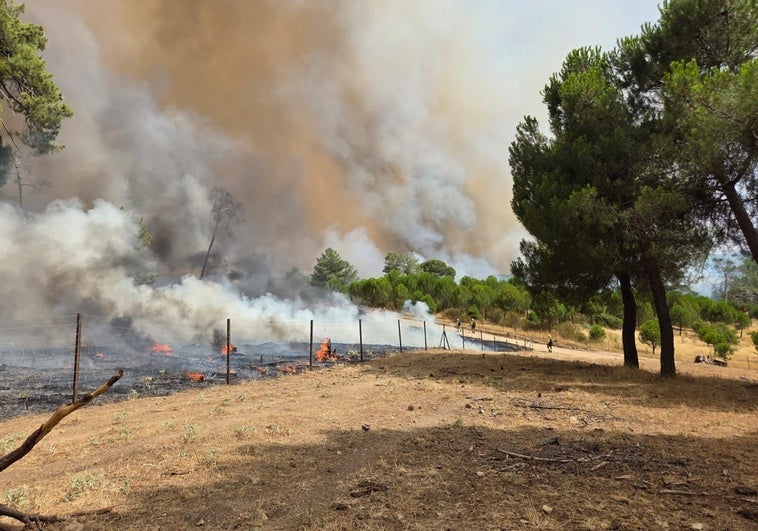 El incendio en San Bartolomé de Pinares moviliza a decenas de medios y obliga a detener trenes El incendio en San Bartolomé de Pinares moviliza a decenas de medios y obliga a detener trenes