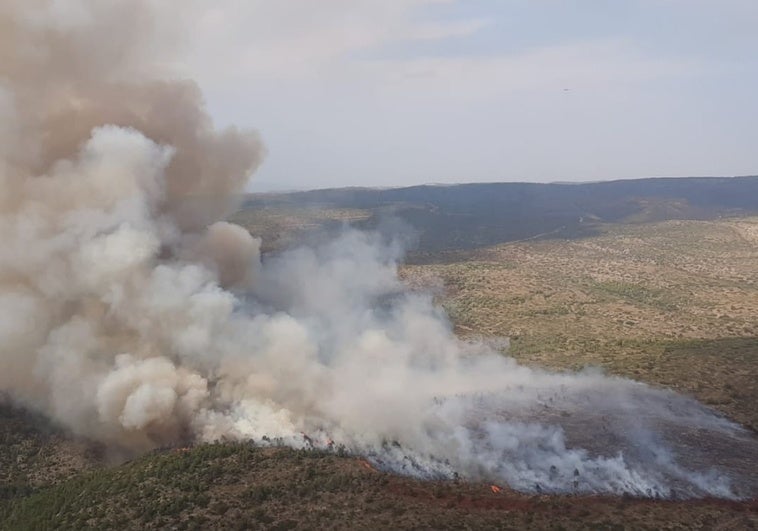 Mazón se desplaza al incendio forestal de Teresa de Cofrentes donde ya trabaja la UME Mazón se desplaza al incendio forestal de Teresa de Cofrentes donde ya trabaja la UME
