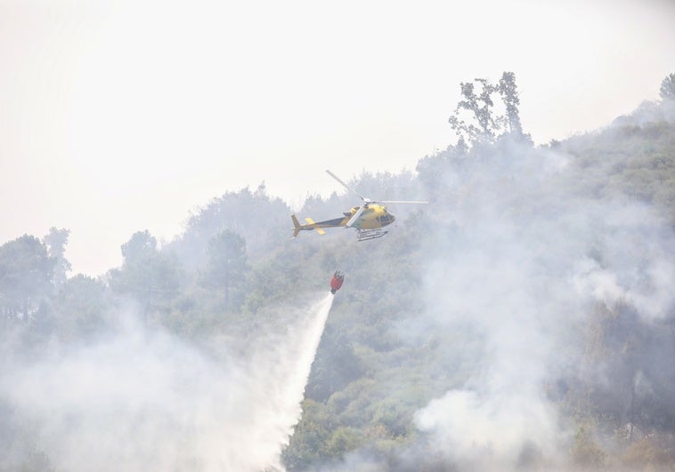 Detenido un trabajador de extinción de incendios por causar un fuego que arrasó más de 2.000 hectáreas en Ávila Detenido un trabajador de extinción de incendios por causar un fuego que arrasó más de 2.000 hectáreas en Ávila