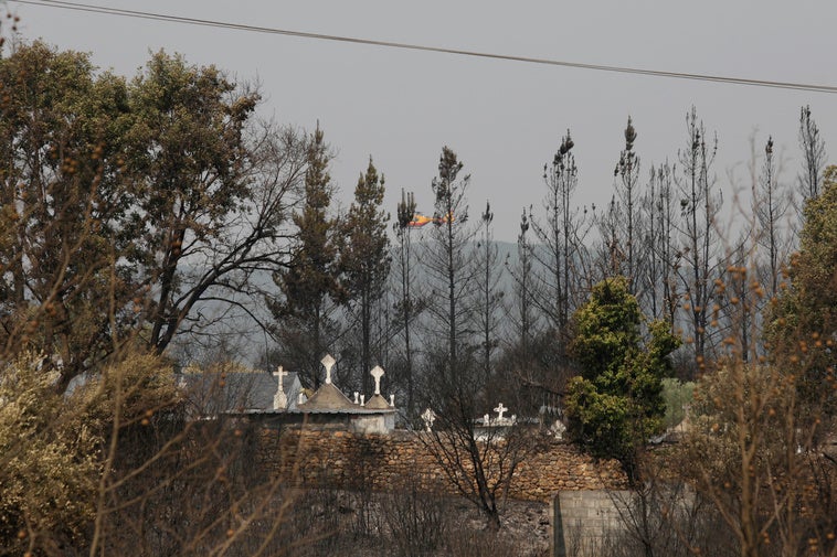 Interior declara la fase de preemergencia por los incendios que azotan varias comunidades Interior declara la fase de preemergencia por los incendios que azotan varias comunidades