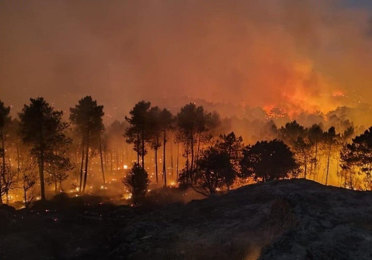 El incendio de Ávila, sin llama activa pero con puntos calientes El incendio de Ávila, sin llama activa pero con puntos calientes