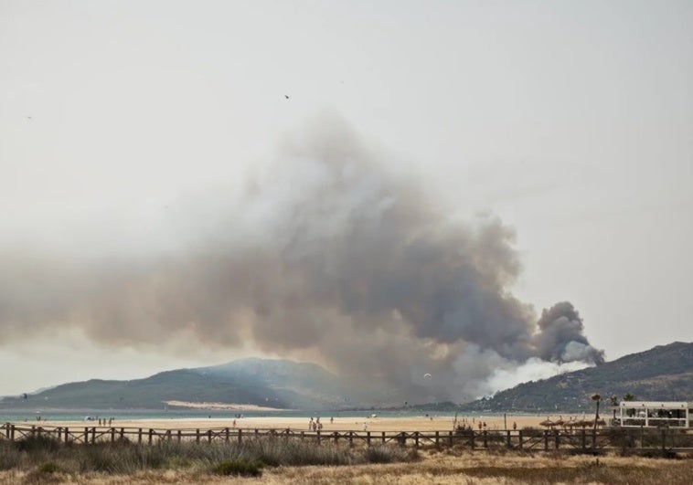 Tarifa enciende todas las alarmas por un incendio forestal que obliga a evacuar un camping Tarifa enciende todas las alarmas por un incendio forestal que obliga a evacuar un camping