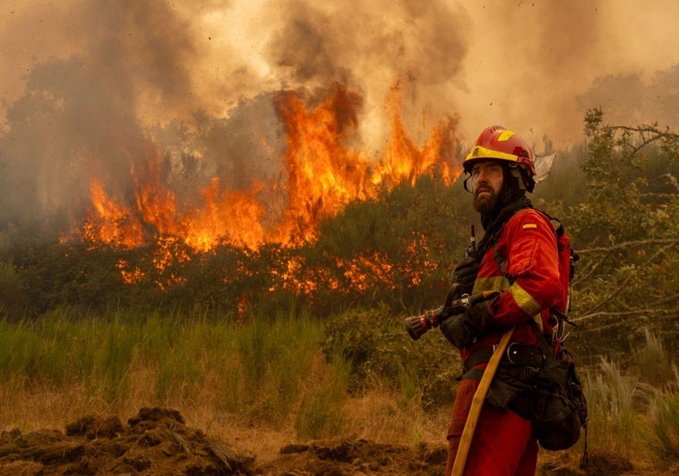 Olas de calor, abandono del monte y el ser humano: el «cóctel explosivo» de los incendios en España Olas de calor, abandono del monte y el ser humano: el «cóctel explosivo» de los incendios en España